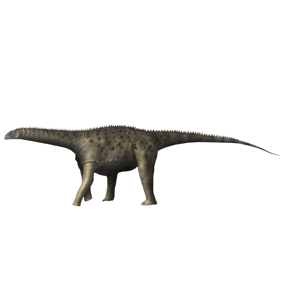 Saltasaurus dinosaur Poster Print Image 2