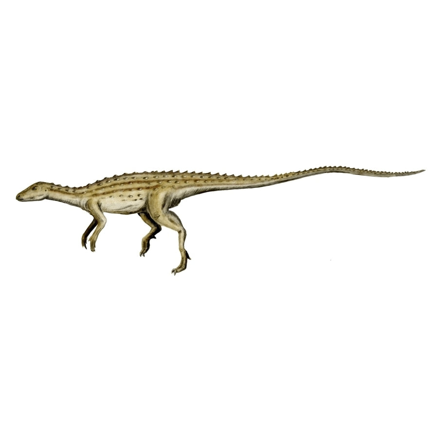 Scutellosaurus dinosaur Poster Print Image 1