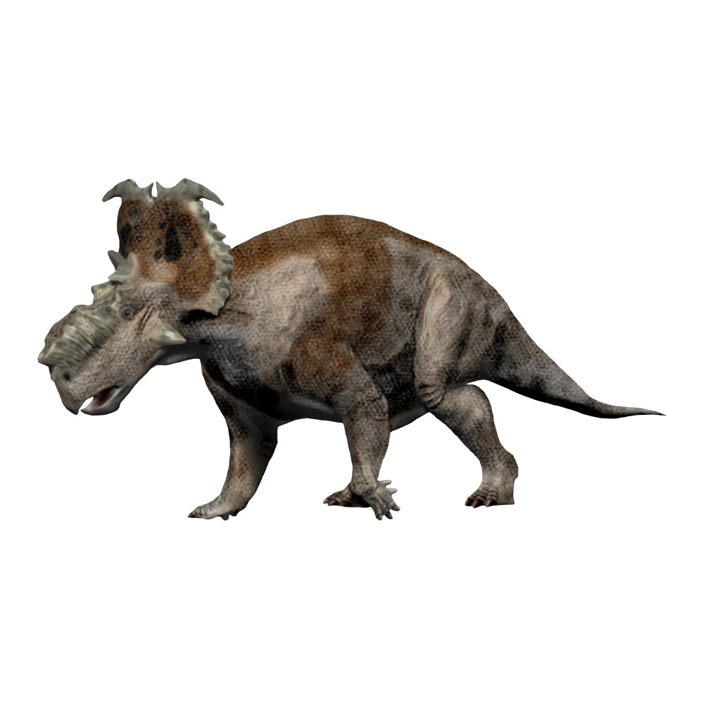 Pachyrhinosaurus dinosaur Poster Print Image 1