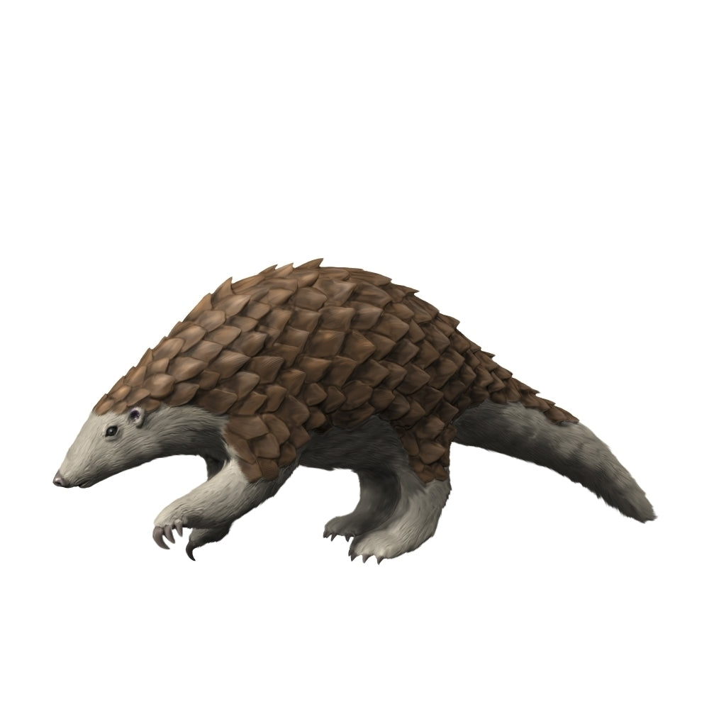 Eomanis waldi is a pangolin from the Eocene epoch of Germany. Poster Print by Nobumichi Tamura/Stocktrek Images Image 1