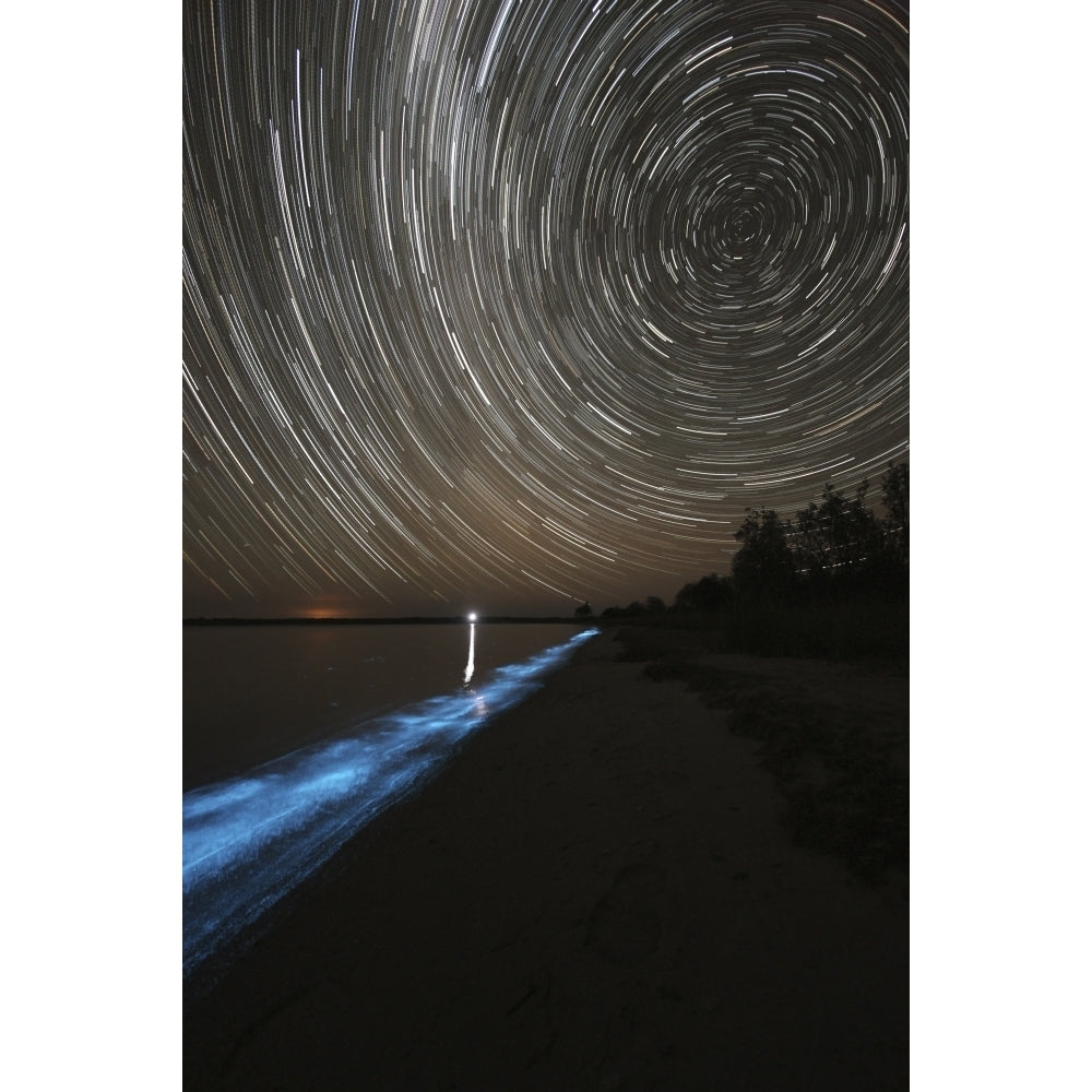 Star trails over bioluminescence in the Gippsland Lakes Australia Poster Print Image 1