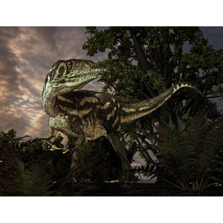 Australovenator was a theropod dinosaur from the Early Cretaceous Period Poster Print Image 2