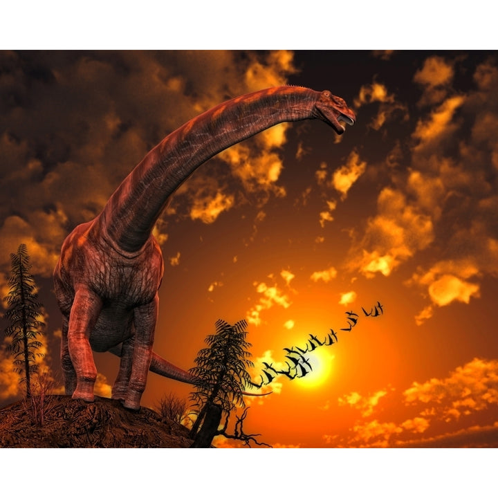 Argentinosaurus a titanosaur sauropod dinosaur from Argentina Poster Print Image 2