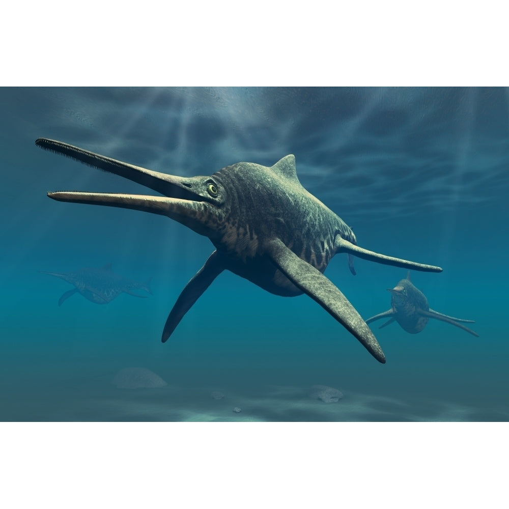 Shonisaurus was a genus of ichthyosaur from the Triassic period Poster Print Image 1