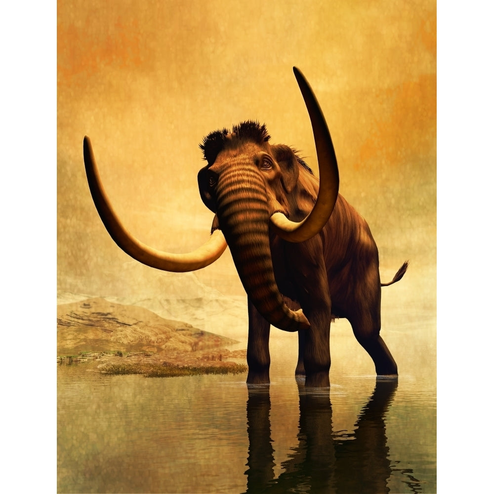 A woolly mammoth in a dramatic frozen sunset Poster Print Image 2