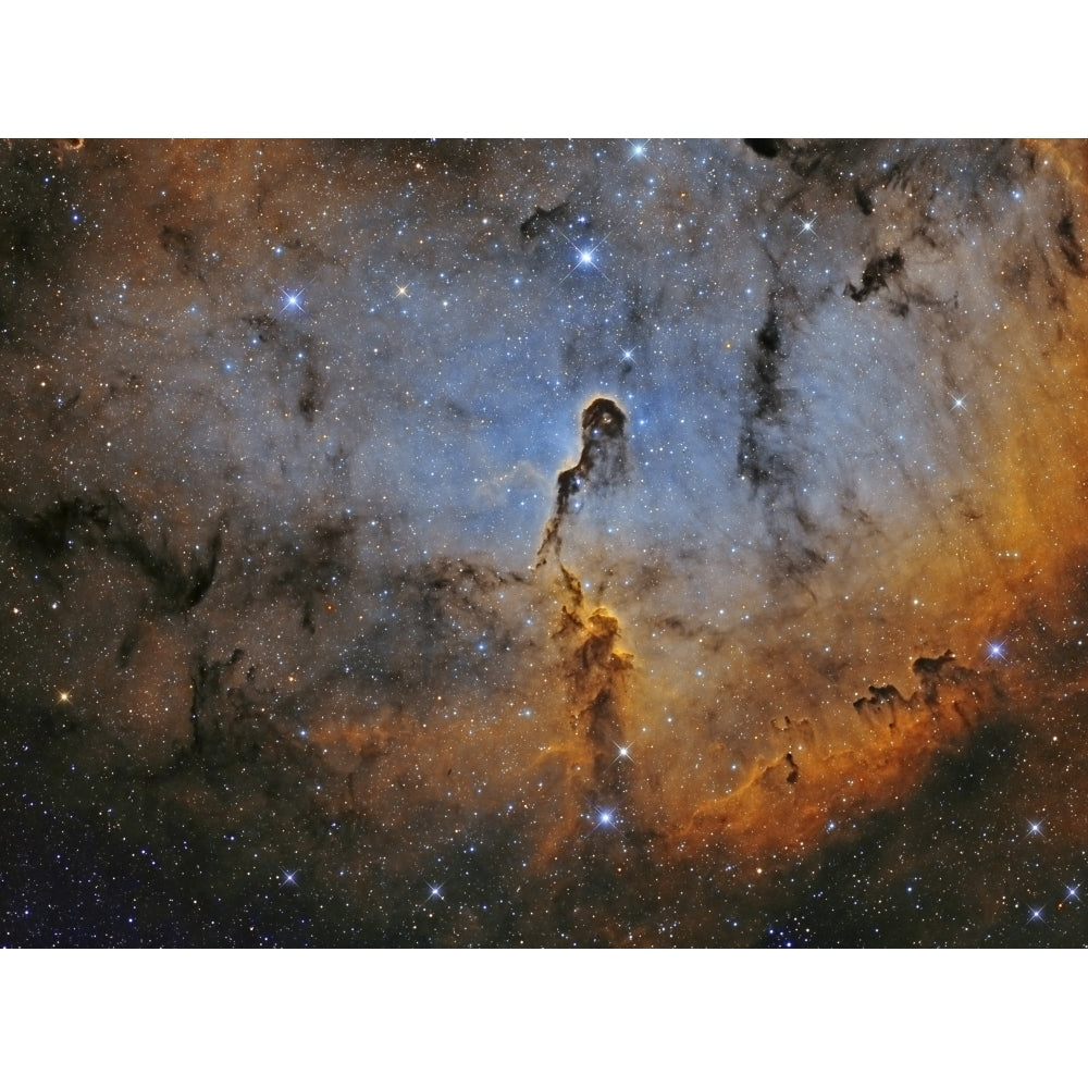 IC 1396 the Elephant Trunk Nebula Poster Print Image 1