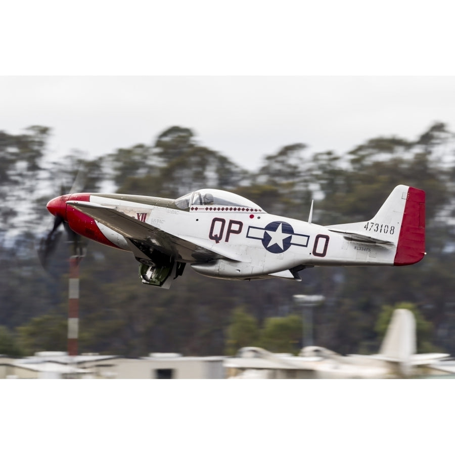 A P-51 Mustang takes off from Santa Rosa California Poster Print Image 1