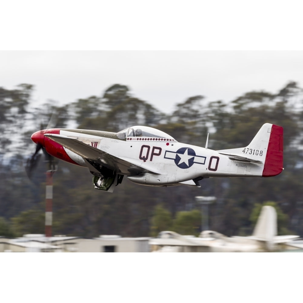 A P-51 Mustang takes off from Santa Rosa California Poster Print Image 2