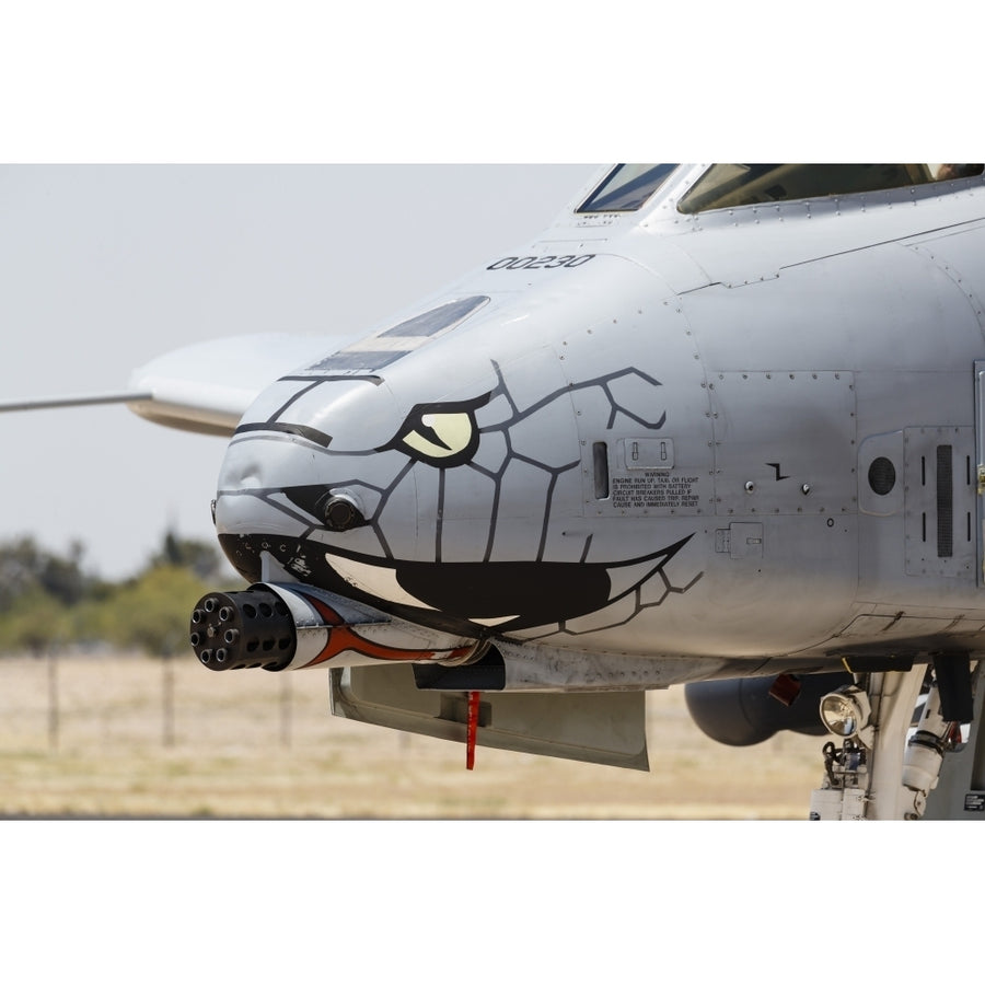 Close-up of the GAU-8 Avenger gun on an A-10 Thunderbolt II. Poster Print by Rob Edgcumbe/Stocktrek Images Image 1