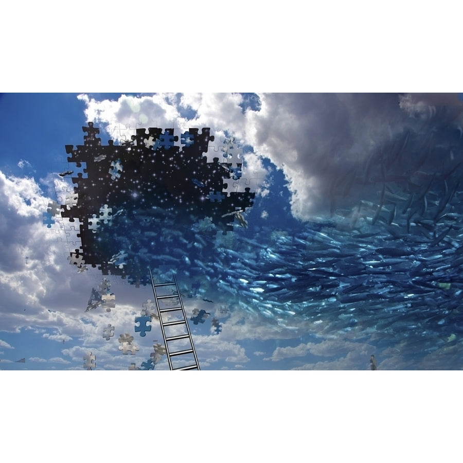 Fish swim into hole in the sky. Pieces of puzzle Poster Print by Bruce Rolff/Stocktrek Images Image 1