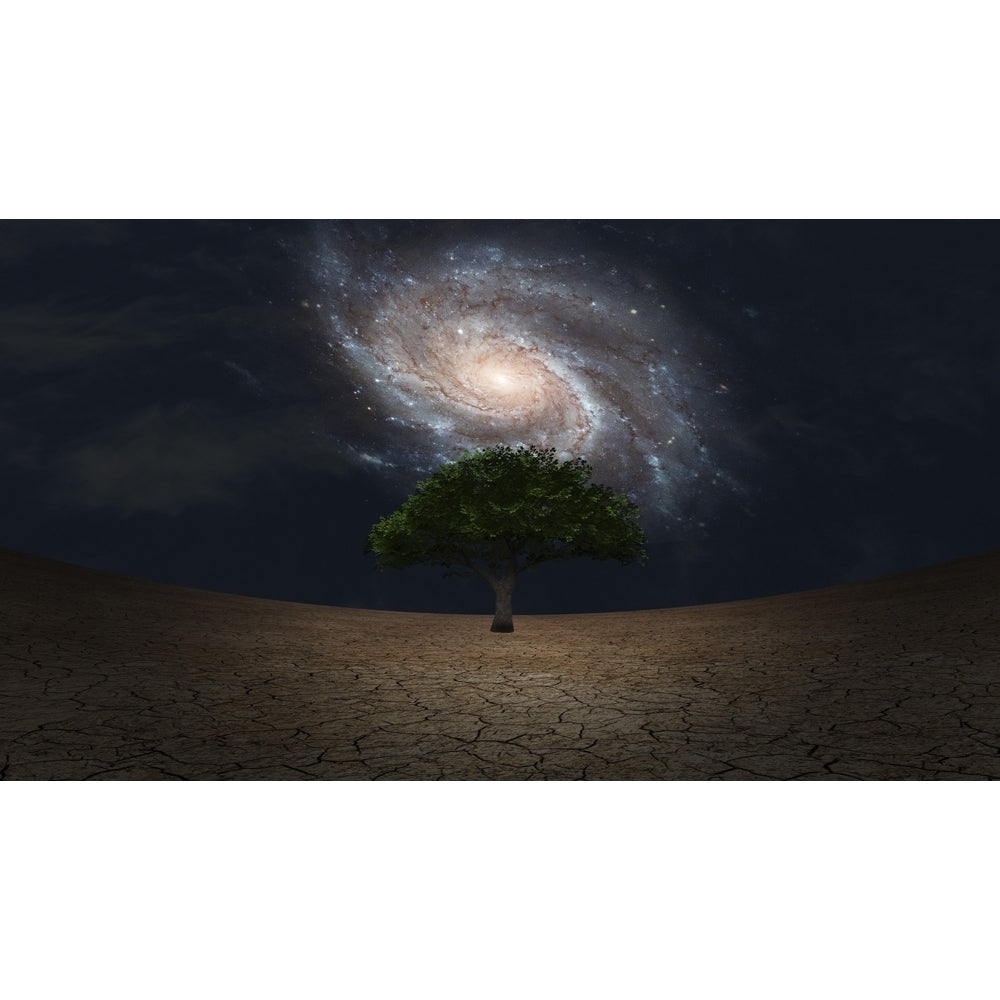 Surrealism. Green tree in arid land. Galaxy in night sky. Poster Print by Bruce Rolff/Stocktrek Images Image 1