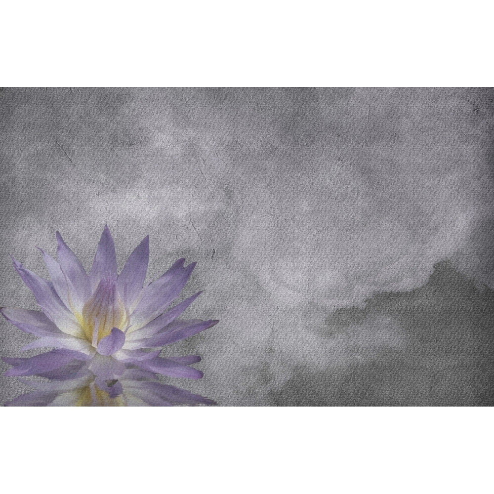 Lotus on grunge cloud background Poster Print by Bruce Rolff/Stocktrek Images Image 1