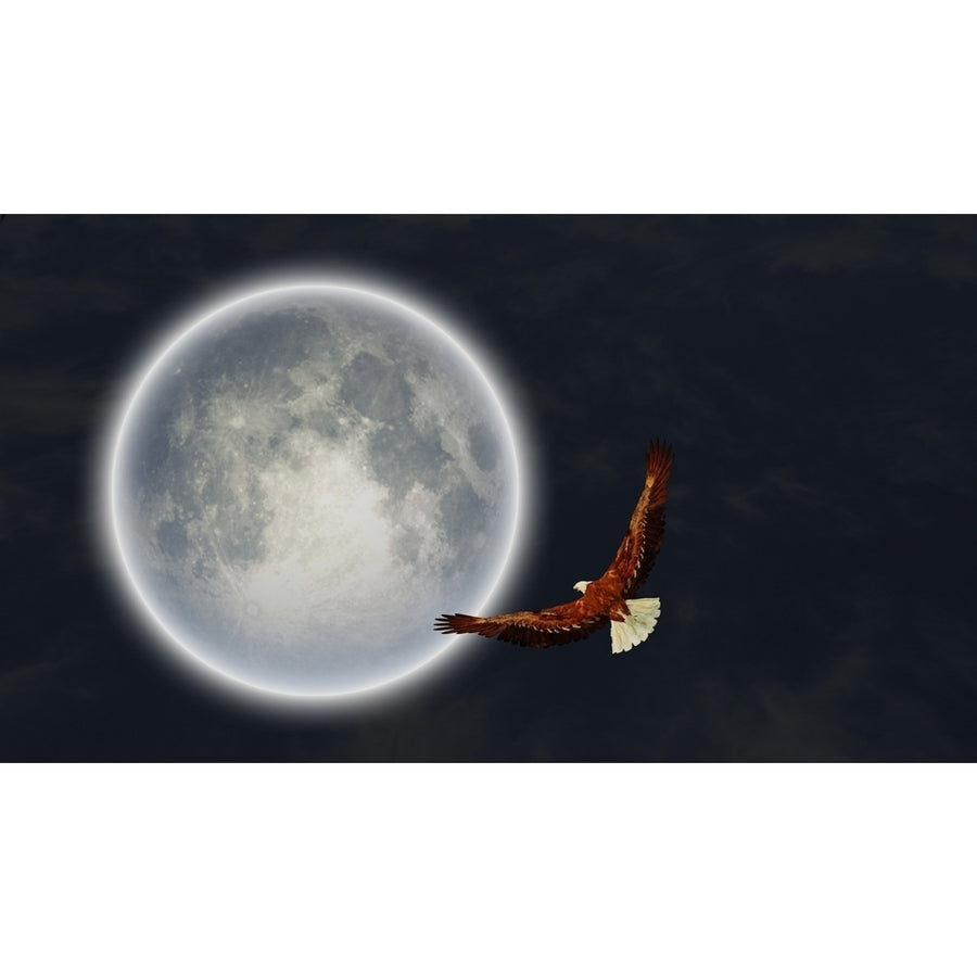 Surrealism. Full moon. Flying eagle in the sky. Poster Print by Bruce Rolff/Stocktrek Images Image 1