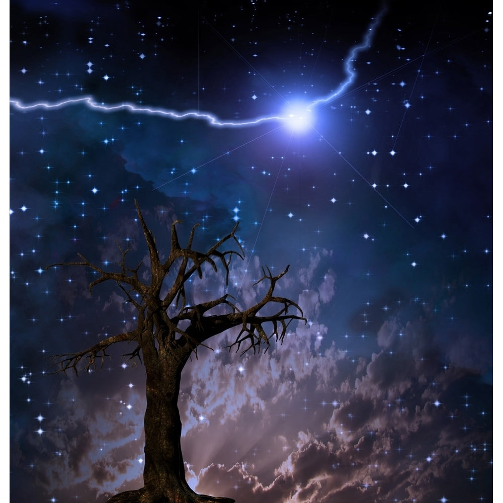 Old tree. Lightning bolt in starry sky Poster Print by Bruce Rolff/Stocktrek Images Image 1