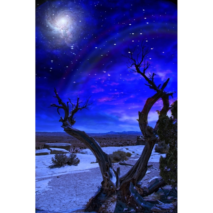 Desert Tree and Horizon. Night starry sky with galaxy Poster Print by Bruce Rolff/Stocktrek Images Image 1