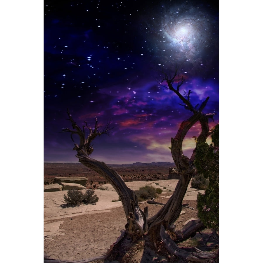 Desert Tree and Horizon. Galaxy in vivid sky Poster Print by Bruce Rolff/Stocktrek Images Image 1