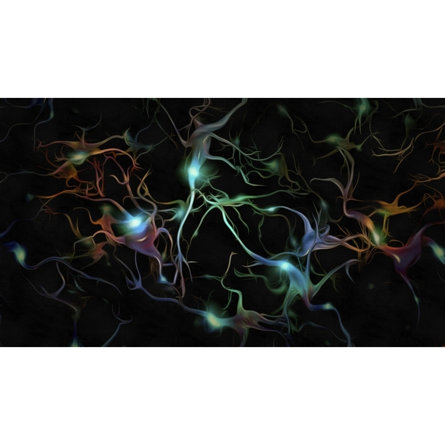 Colorful Neurons. Painting on Canvas Poster Print by Bruce Rolff/Stocktrek Images Image 1