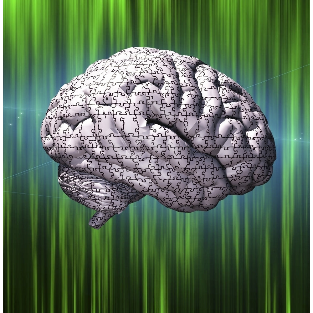 Human Brain Puzzle on Green Background Poster Print by Bruce Rolff/Stocktrek Images Image 1