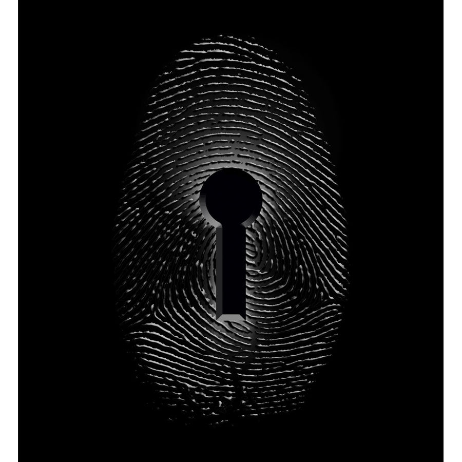 Figerprint Lock Poster Print by Bruce Rolff/Stocktrek Images Image 1