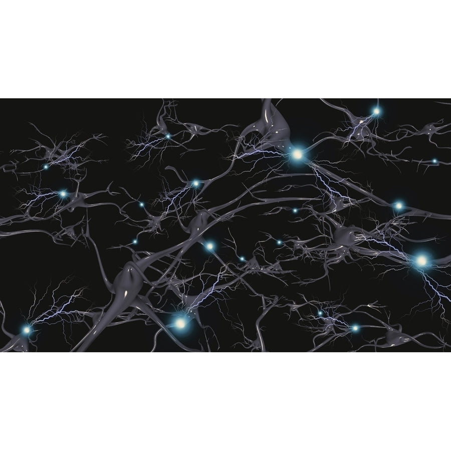 Brain cells with electrical firing Poster Print by Bruce Rolff/Stocktrek Images Image 1