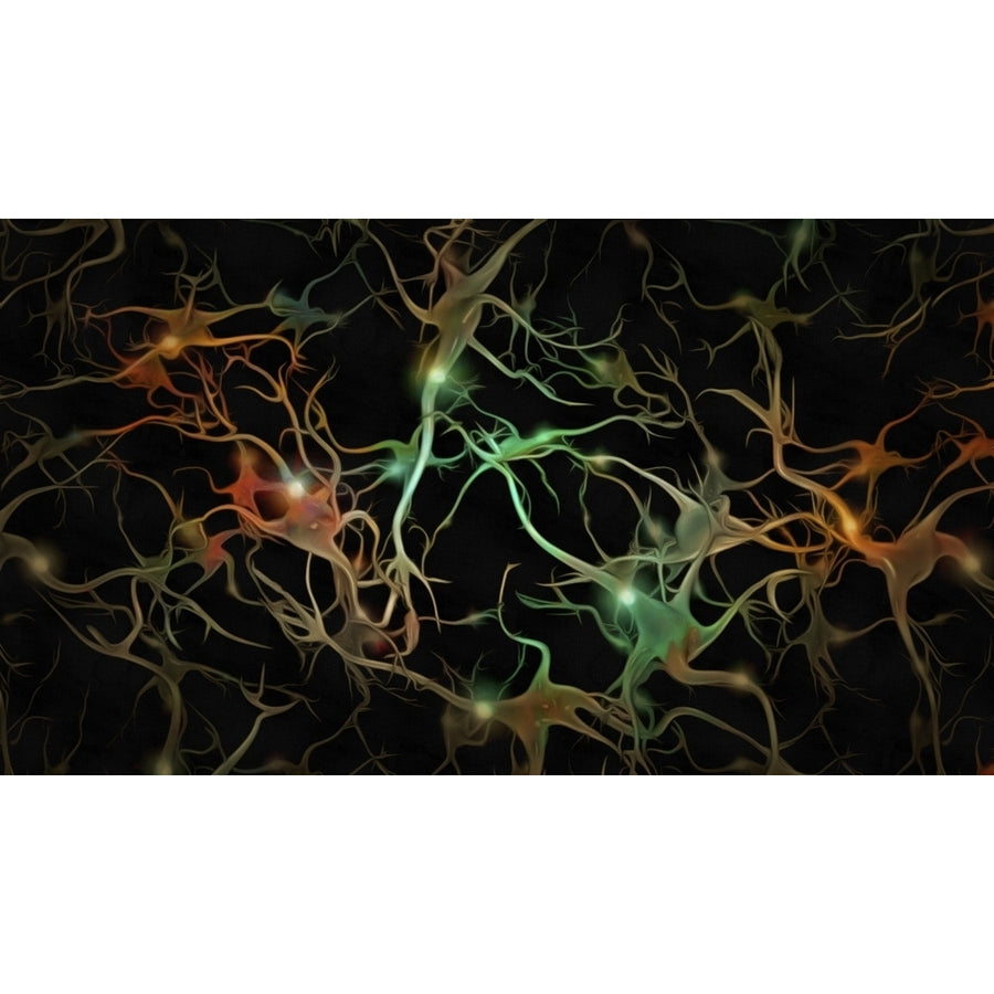 Brain Neurons and glowing nodes. Vivid painting Poster Print by Bruce Rolff/Stocktrek Images Image 1