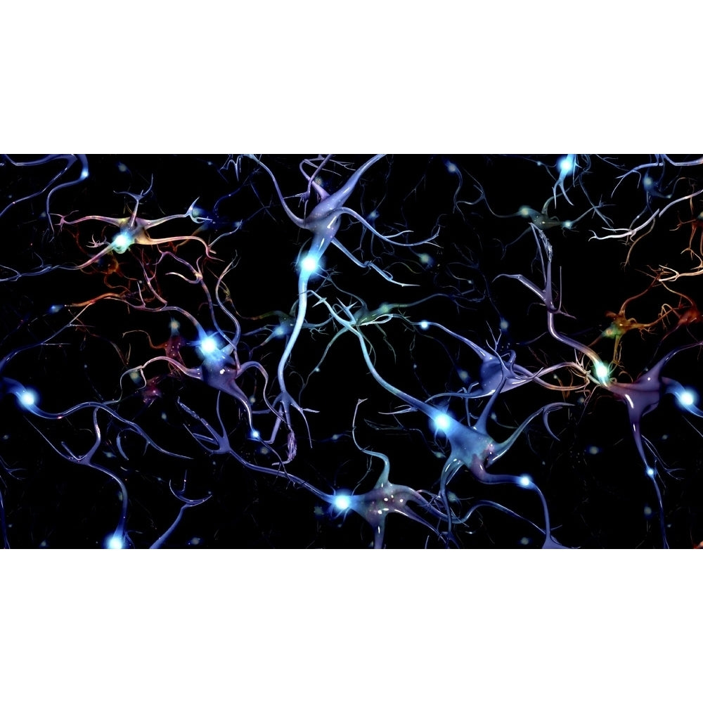 Neurons brain cells with electrical firing Poster Print by Bruce Rolff/Stocktrek Images Image 1