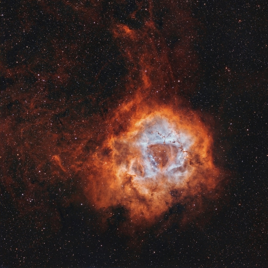 The Rosette Nebula with open cluster NGC 2244. Poster Print by Rolf Geissinger/Stocktrek Images Image 1