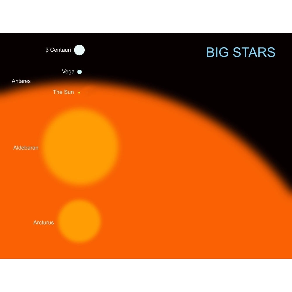 The sun compared to four typical large stars Poster Print Image 1