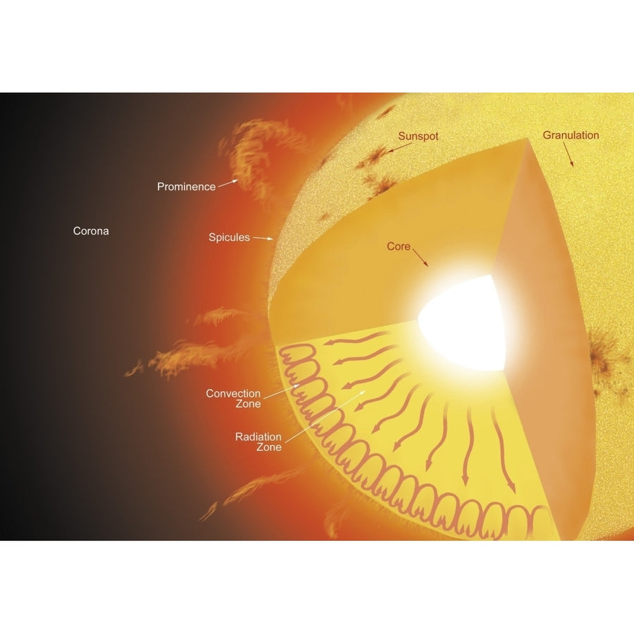 A cutaway view of the sun Poster Print Image 1