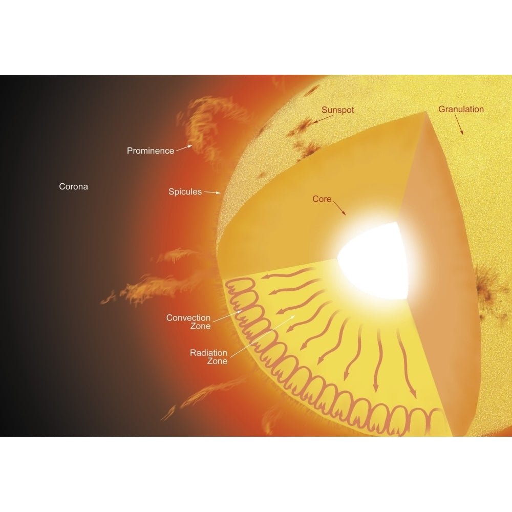 A cutaway view of the sun Poster Print Image 2