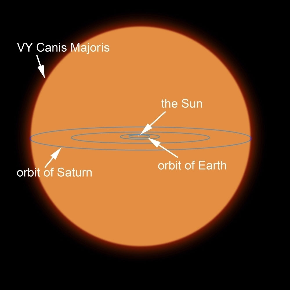 A diagram comparing the Sun to VY Canis Majoris Poster Print Image 2