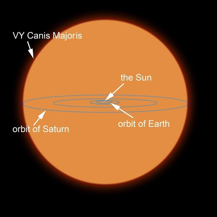 A diagram comparing the Sun to VY Canis Majoris Poster Print Image 1