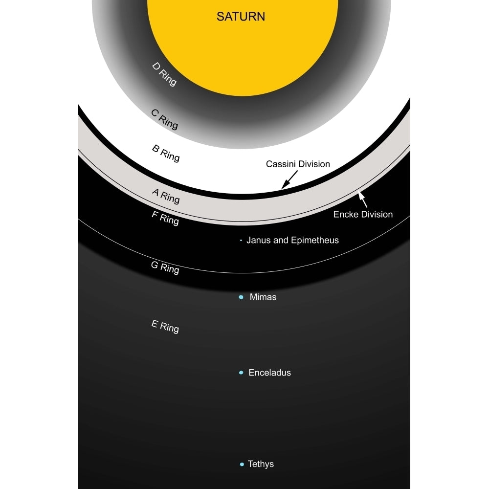 A diagram showing the major features of Saturns rings Poster Print Image 2