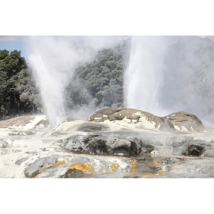 Pohutu and Prince of Wales Feathers Geyser Whakarewarewa Rotorua Zealand Poster Print Image 1