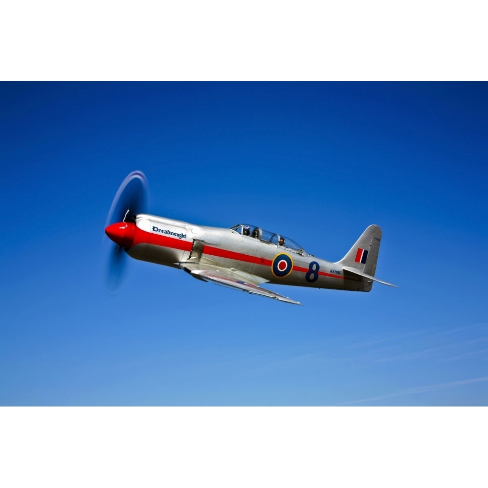 A Hawker Sea Fury T.Mk.20 Dreadnought aircraft in flight Poster Print Image 2