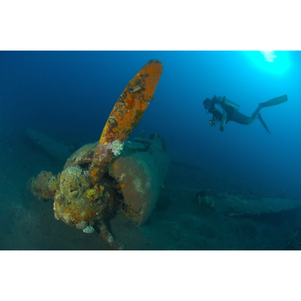 Diver explores the wreck of a Mitsubishi Zero fighter plane Poster Print Image 2