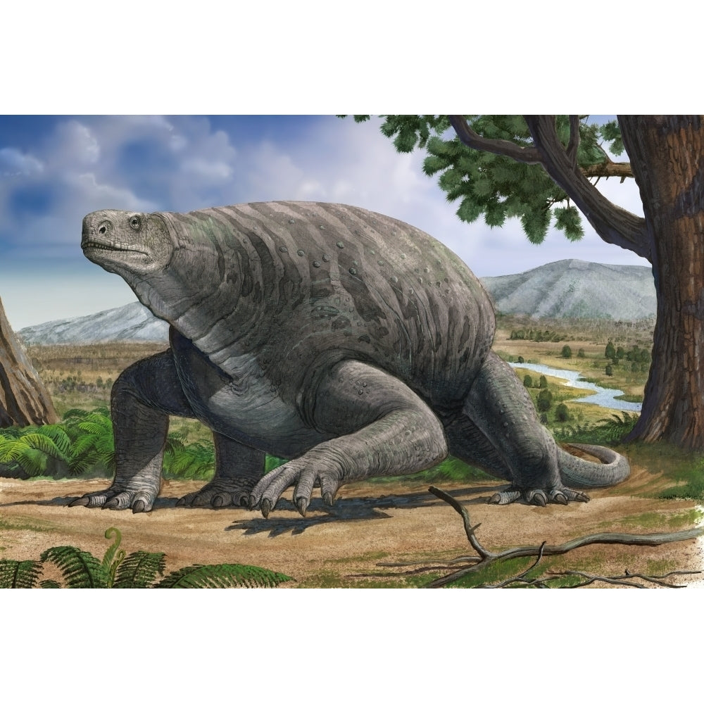 Cotylorhynchus bransoni a prehistoric animal from the Paleozoic Era Poster Print Image 2