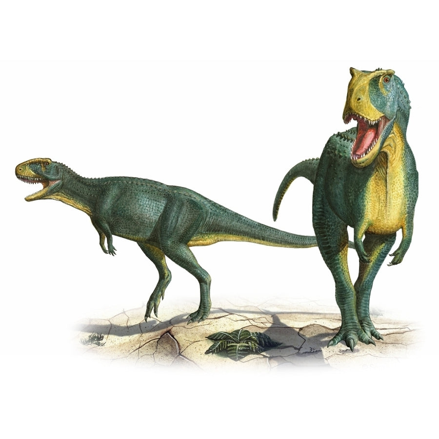 Rugops primus a prehistoric era dinosaur Poster Print Image 1