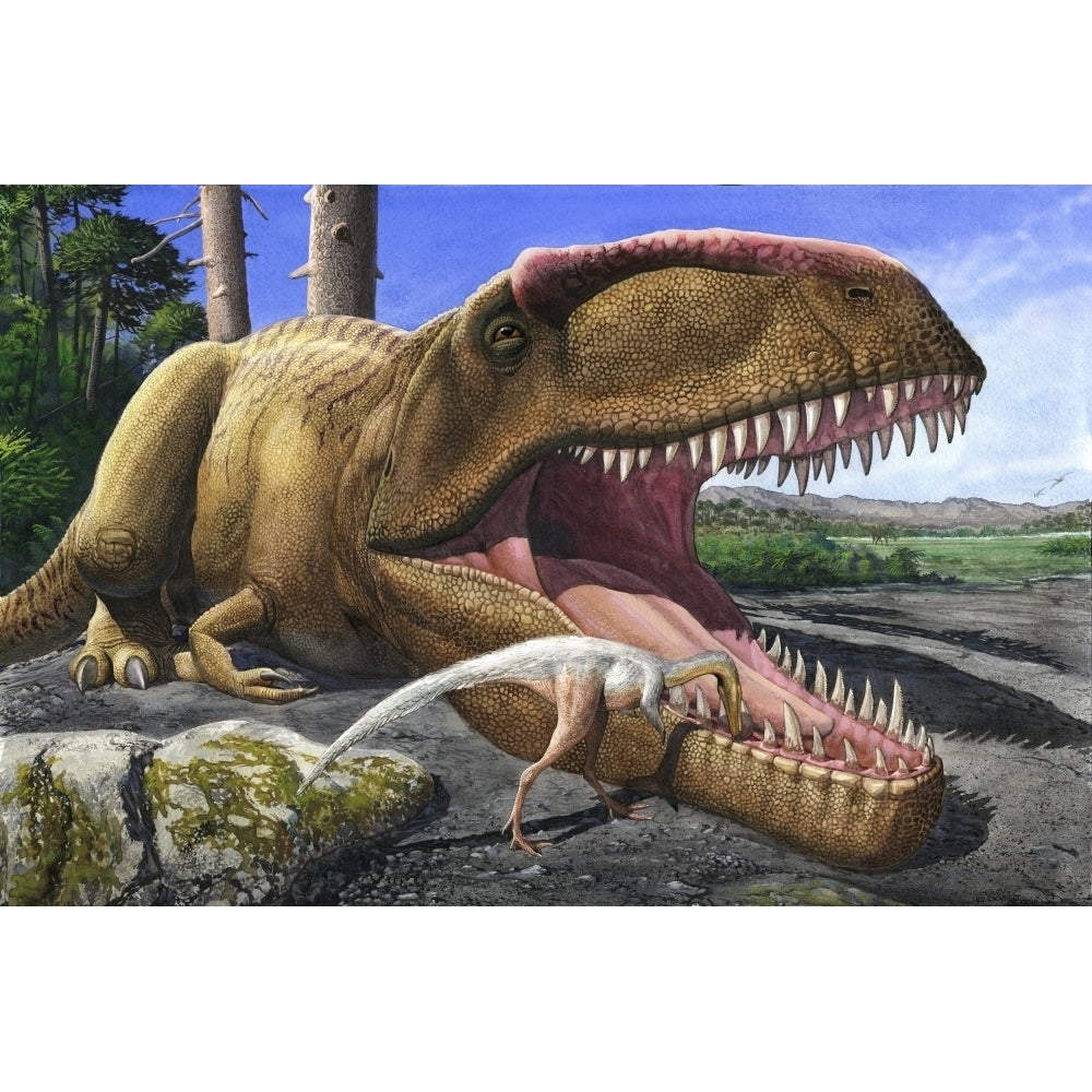 An Alvarezsaurid bird cleans the mouth of a Giganotosaurus carolinii dinosaur Poster Print Image 2