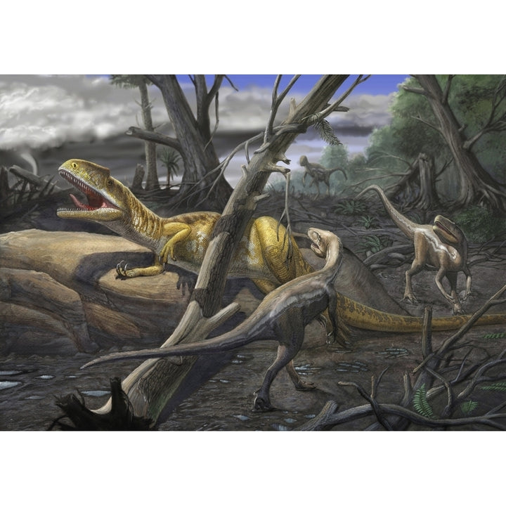 A Neovenator salerii is approached by Eotyrannus lengi dinosaurs Poster Print Image 1