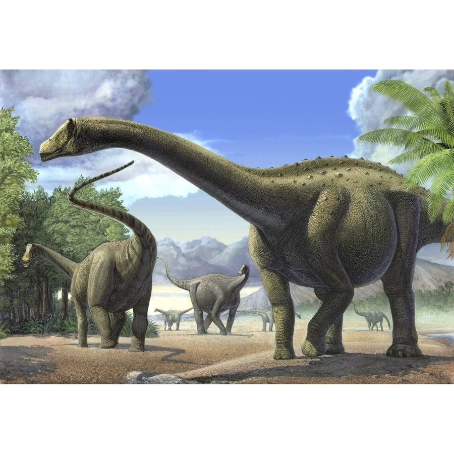 A group of Tapuiasaurus macedoi dinosaurs Poster Print Image 1