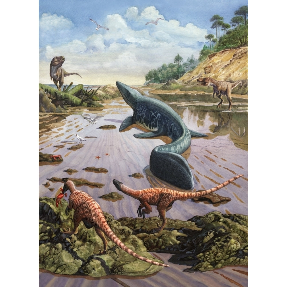 Raptors attack a vulnerable Mosasaurus that remained aground at low tide Poster Print Image 1