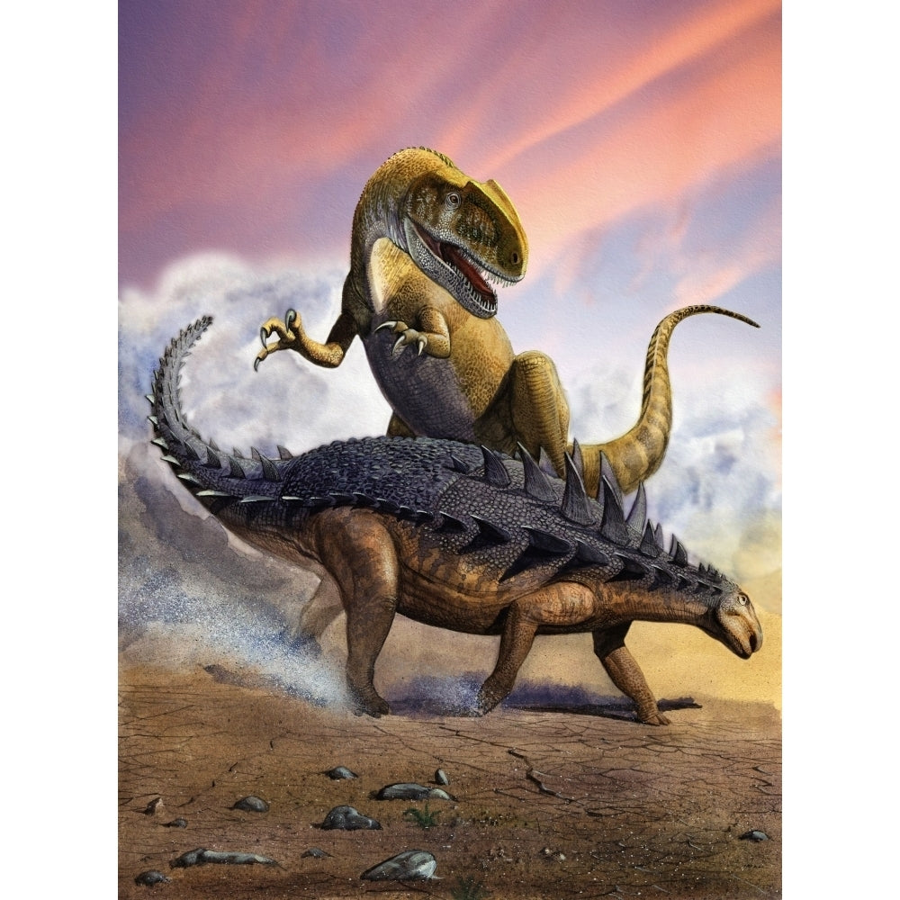 Confronation between a Neovenator and a Polacanthus armored dinosaur Poster Print Image 1