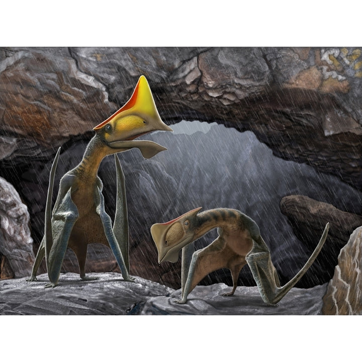 Tapejara wellnhoferi pterosaurs seek shelter inside a cave from a rain storm Poster Print Image 2