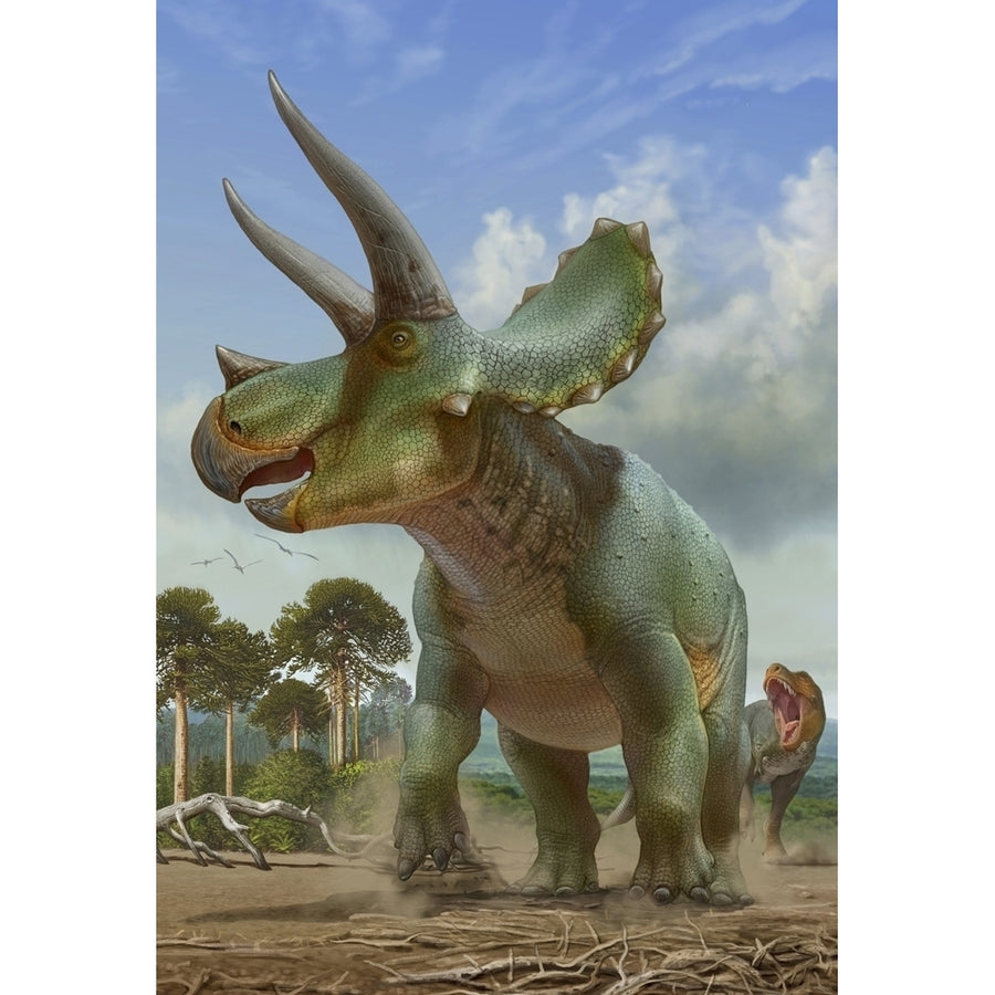 Triceratops running away from a T-rex chasing after it. Poster Print by Sergey Krasovskiy/Stocktrek Images Image 1