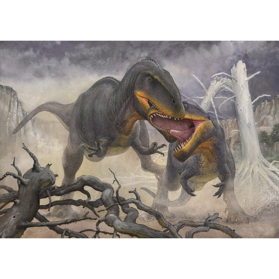 A territorial dispute between a pair of Tyrannotitan male dinosaurs. Poster Print by Sergey Krasovskiy/Stocktrek Images Image 1