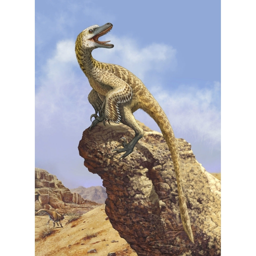 A Velociraptor screams loudly while perched on top of a rock formation. Poster Print by Sergey Krasovskiy/Stocktrek Imag Image 1