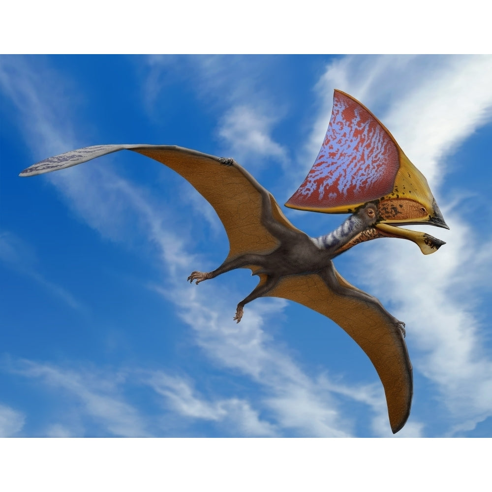 Tupandactylus imperator a pterosaur from the Early Cretaceous Period Poster Print Image 2