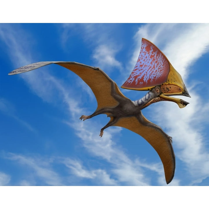 Tupandactylus imperator a pterosaur from the Early Cretaceous Period Poster Print Image 1