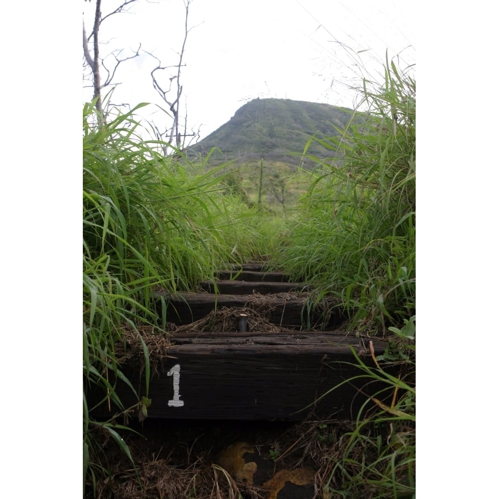 The first step invites hikers up Koko Crater Poster Print Image 1